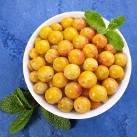 ВКУСНАЯ И АРОМАТНАЯ АЛЫЧА (Загляните в кладовую природы)